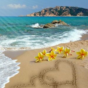 Meet your Posher, Pamela