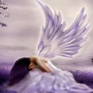 Meet your Posher, Alice