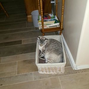 Meet your Posher, Vickie