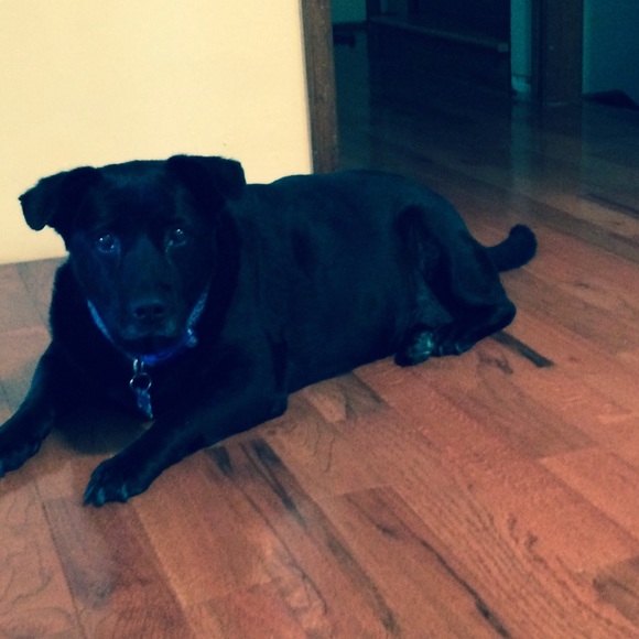 Meet meππ - Picture 2 of 4