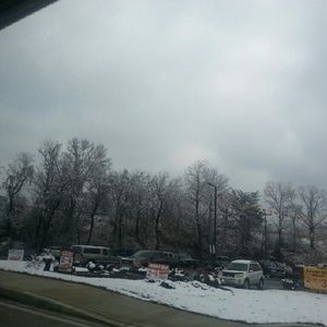 Meet your Posher, Rohan