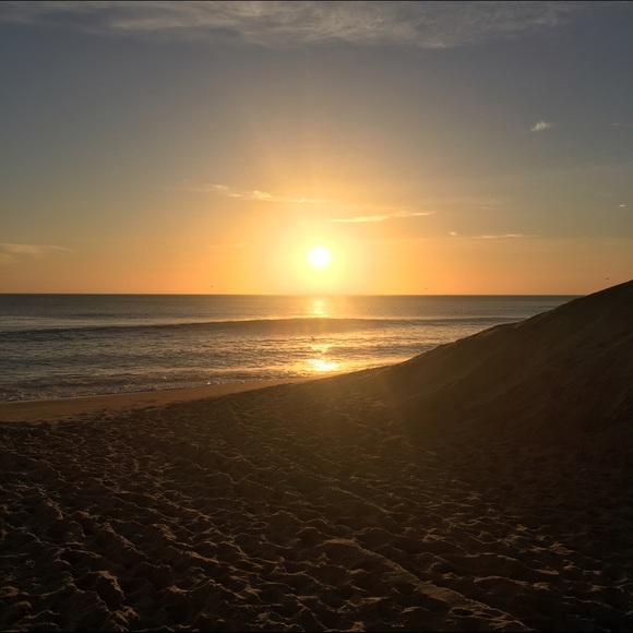 Meet your Posher, Basia - Picture 1 of 1