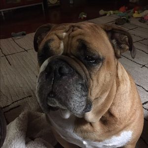 Meet your Posher, Suzanne