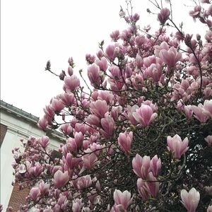 Meet your Posher, Kristie