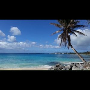 Meet your Posher, Ramona