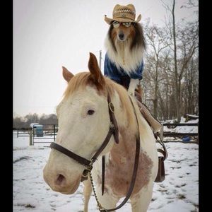 Meet your Posher,Milena