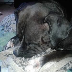 Meet your Posher, Tina