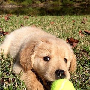 Meet your Posher, Margo