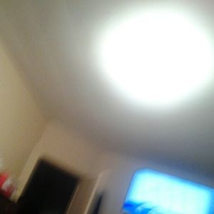 Meet your Posher, Willie