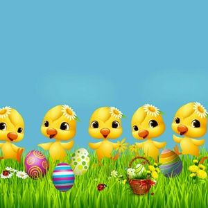 Meet your Posher, Irma