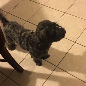 Meet your Posher, Sandy