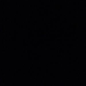 Meet your Posher, Isabella