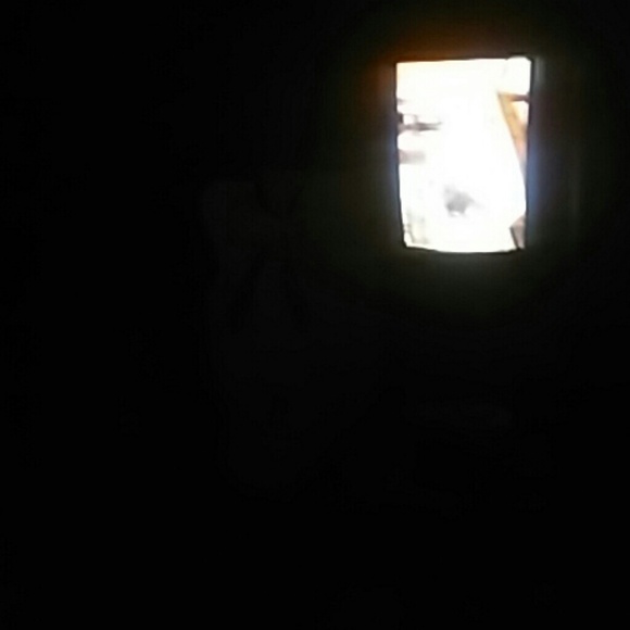 Meet your Posher, Lia