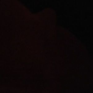 Meet your Posher, Katy