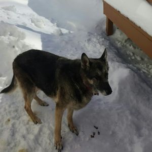 Meet your Posher, Kathleen