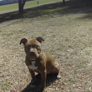 Meet your Posher, Stacy