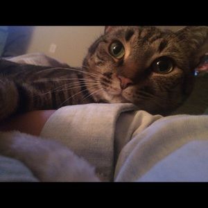 Meet your Posher, Emily