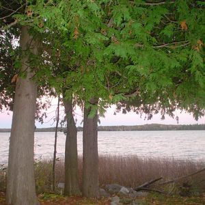 Meet your Posher, Linda greg