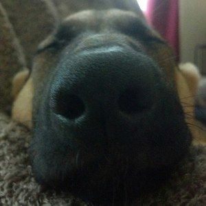 Meet your Posher, Christy