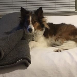 Meet your Posher, Cortney