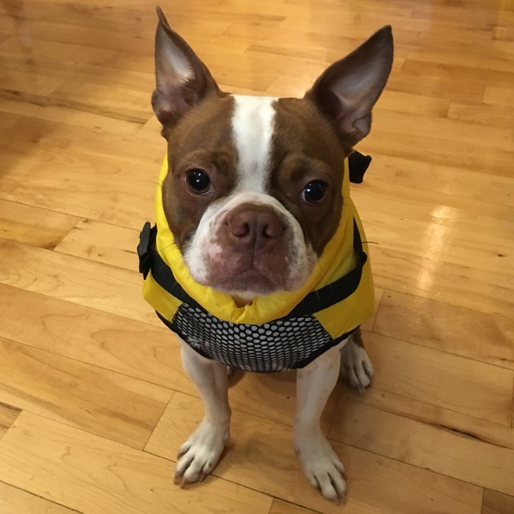 Fido Float Other - Doggie life jacket with handles for small dog