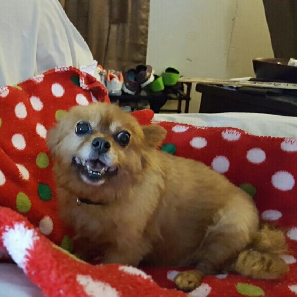 Meet your Posher, Nicki p - Picture 3 of 3