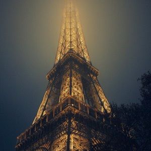 Meet your Posher, Abbey