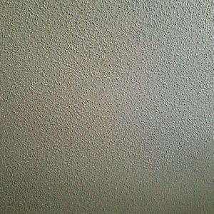 Meet your Posher, Rose