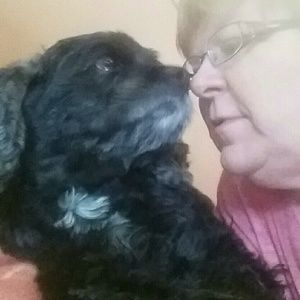 Meet your Posher, Nancy