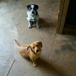 Meet your Posher, Erica