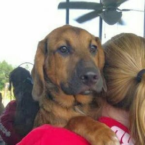 Meet your Posher, Tamara