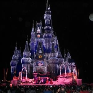 Meet your Posher, Patty