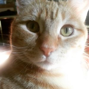 Meet your Posher, Suzanne