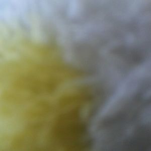 Looking for any and all vapor or vapor pens