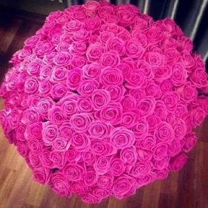 Meet your Posher, Carmen