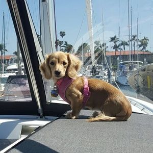 Meet your Posher, Sue