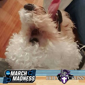 Meet your Posher, Jo-ann