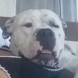 Meet your Posher, Bernadette