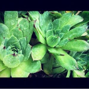 Meet your Posher, Shennell