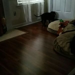 Meet your Posher, Karen