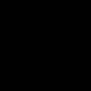 Meet your Posher, Kennady