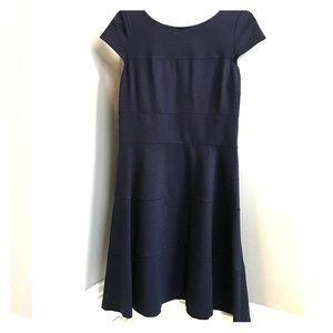 Banana Republic Navy Fit and Flare Dress Size 10