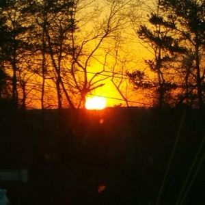 Meet your Posher, Shaina