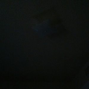 Meet your Posher, Astrid