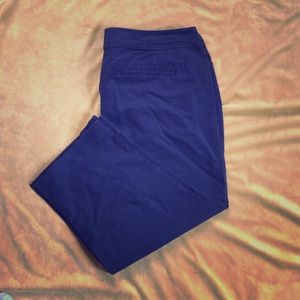 NWOT Ann Taylor Dress Pant Capris