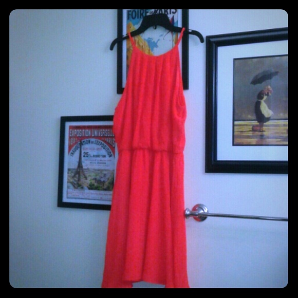 Lush Dress Large