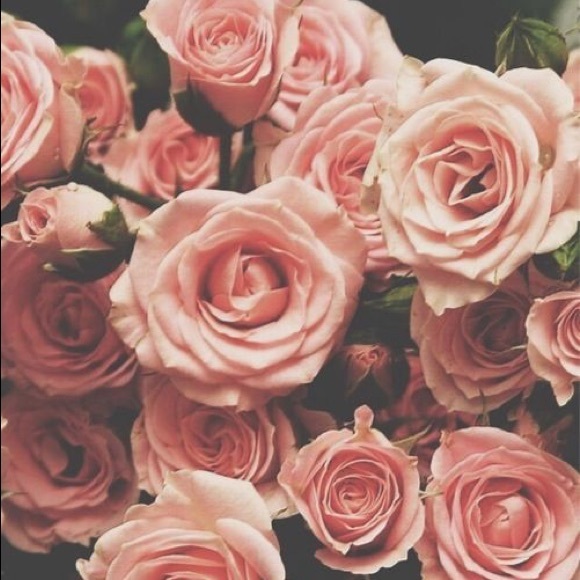 Meet your Posher, Sonia - Picture 1 of 1