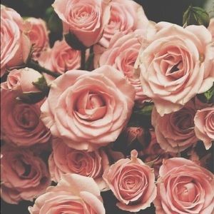 Meet your Posher, Sonia