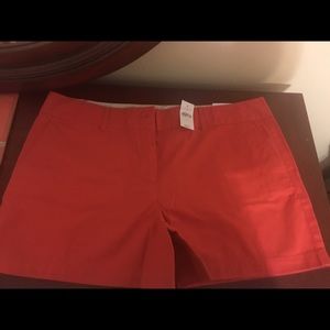 Size 14 Red Ann Taylor Loft Shorts NWT