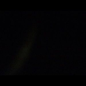 Meet your Posher, Chase